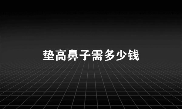 垫高鼻子需多少钱