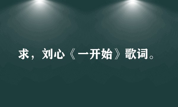 求,刘心《一开始》歌词。
