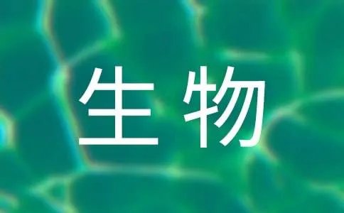 七年级生物上册课件