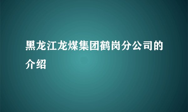 黑龙江龙煤集团鹤岗分公司的介绍