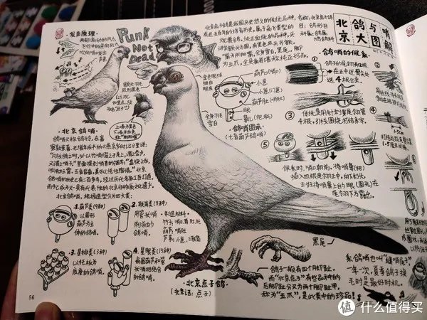 不求甚解集 篇二十:我们的八十年代:《漫步八十年代:老北京拾遗》