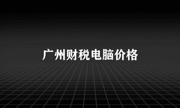 广州财税电脑价格
