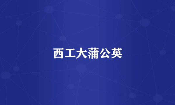 西工大蒲公英