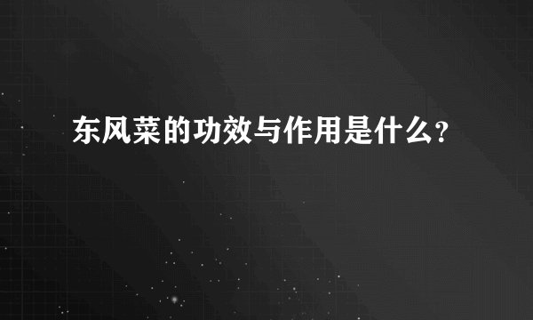 东风菜的功效与作用是什么？