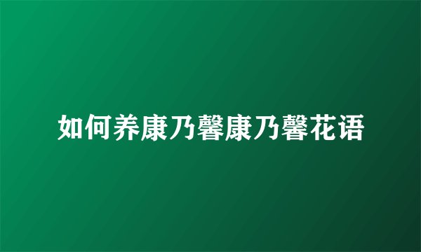 如何养康乃馨康乃馨花语