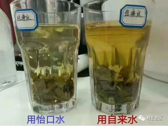 自来水不敢直接喝的举手!