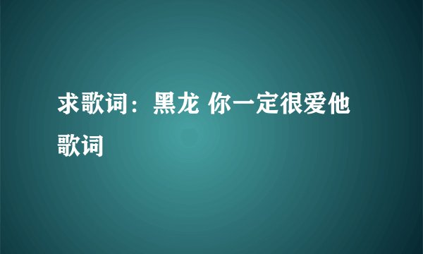 求歌词：黑龙 你一定很爱他 歌词
