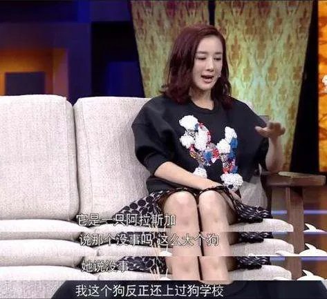 被狗毁掉星途的演员:李依晓没获得一句道歉,为何还要被骂整容脸?