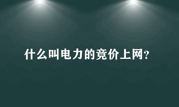 什么叫电力的竞价上网？