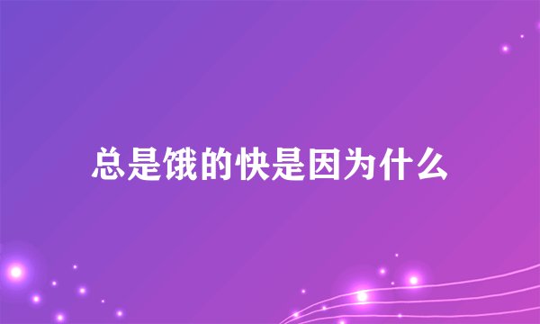 总是饿的快是因为什么