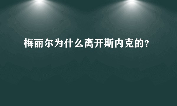 梅丽尔为什么离开斯内克的？