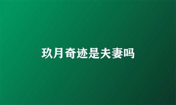 玖月奇迹是夫妻吗