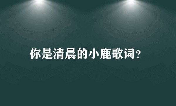 你是清晨的小鹿歌词？