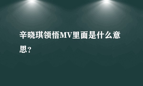 辛晓琪领悟MV里面是什么意思?