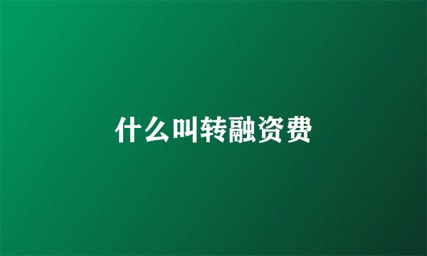 什么叫转融资费