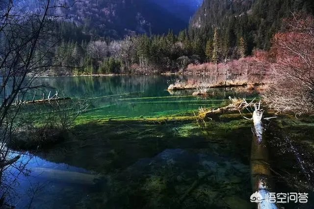 八九月份适合去哪里旅游?