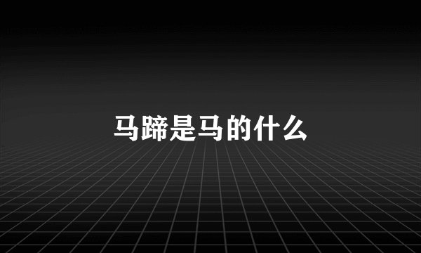 马蹄是马的什么