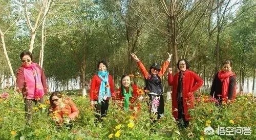 如何看待旅居养老?