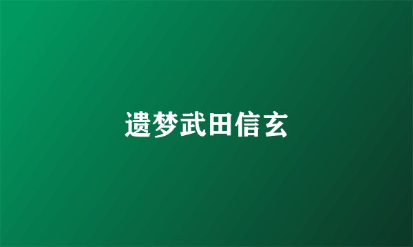 遗梦武田信玄