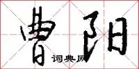 曹阳