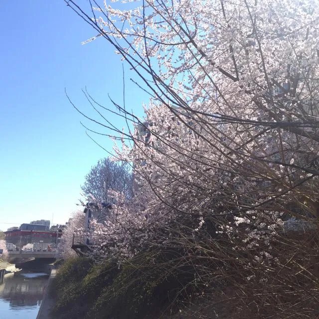不能说清明节快乐，那这天要如何互相祝福？