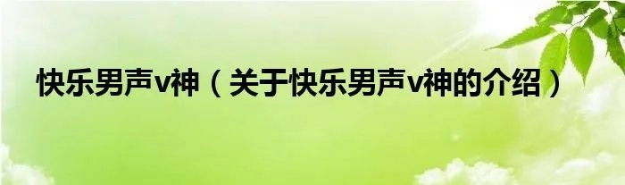快乐男声v神（关于快乐男声v神的介绍）