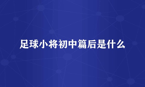 足球小将初中篇后是什么
