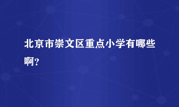 北京市崇文区重点小学有哪些啊？