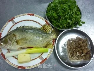 上汤秧草鳜鱼