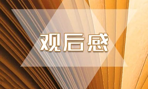 关于《冰糖炖雪梨》大结局观后感评价5篇最新精选