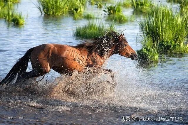 尼康d300s怎么样?
