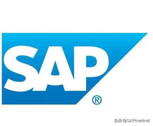 “SAP”是什么意思?是干什么用的?