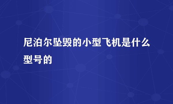 尼泊尔坠毁的小型飞机是什么型号的