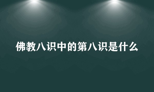 佛教八识中的第八识是什么