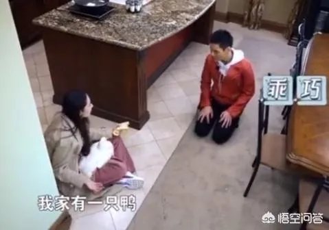 如何看待向佐和郭碧婷的恋情,你觉得他们般配吗?