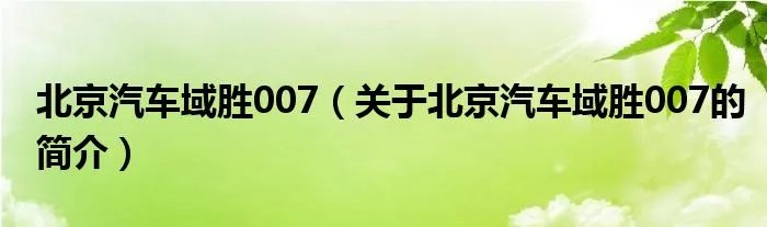 北京汽车域胜007（关于北京汽车域胜007的简介）