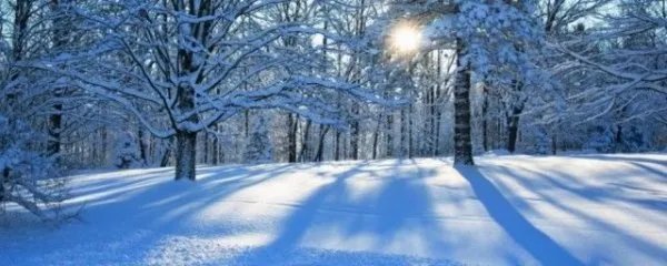 下雪又打雷不是好兆头 好不好怎么回事
