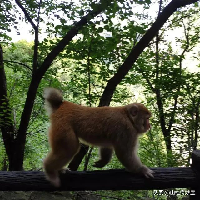 旅行途中你都见过哪些罕见的风景?
