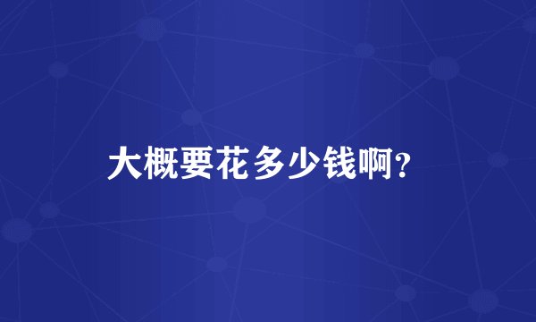 大概要花多少钱啊？