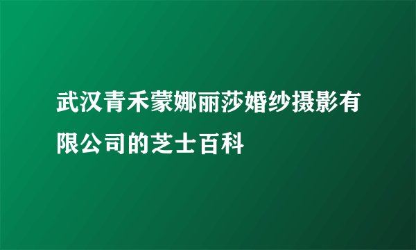 武汉青禾蒙娜丽莎婚纱摄影有限公司的芝士百科