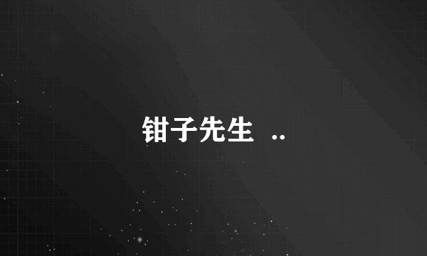 钳子先生  ..