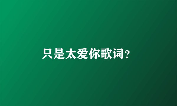 只是太爱你歌词？