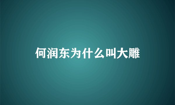 何润东为什么叫大雕