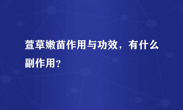 萱草嫩苗作用与功效，有什么副作用？
