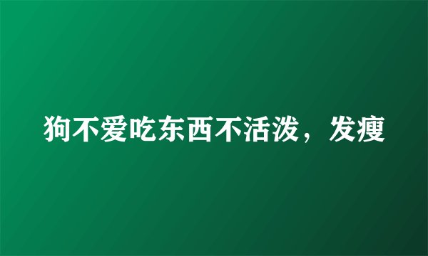 狗不爱吃东西不活泼,发瘦