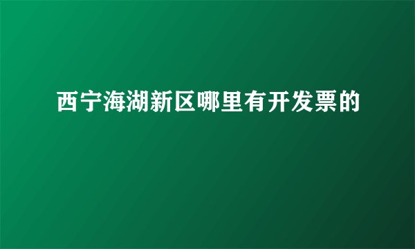 西宁海湖新区哪里有开发票的
