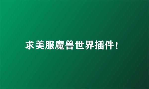 求美服魔兽世界插件!