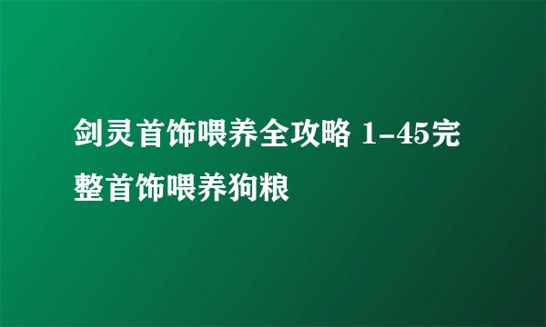 剑灵首饰喂养全攻略 1-45完整首饰喂养狗粮