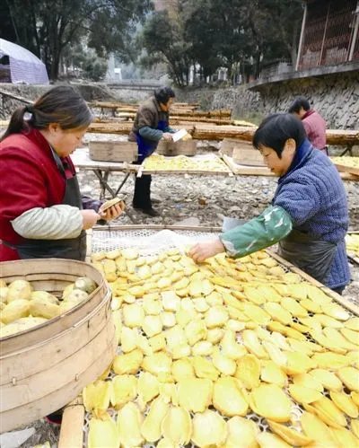 巴西总统建议民众去邻国买米,对于今年肉价上涨,粮食价格上涨你怎么看?
