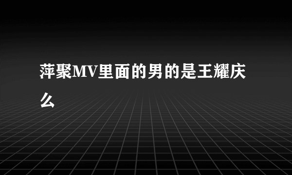 萍聚MV里面的男的是王耀庆么